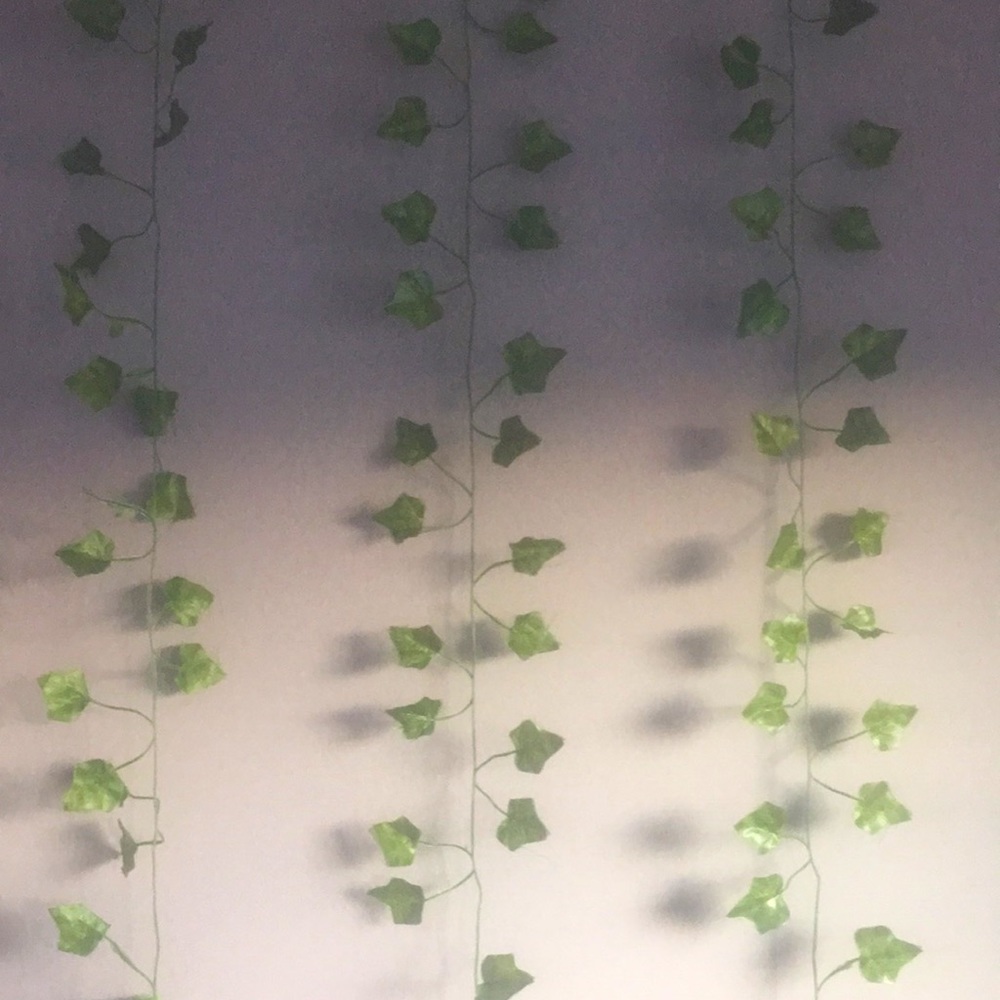 Selling green vines! Brand name Shein, length of each vine is 210cm,colour green